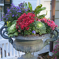 Fall Planter